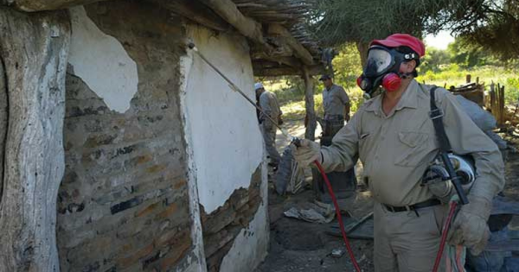 Malattia di Chagas che cos'è, cause, sintomi e cura