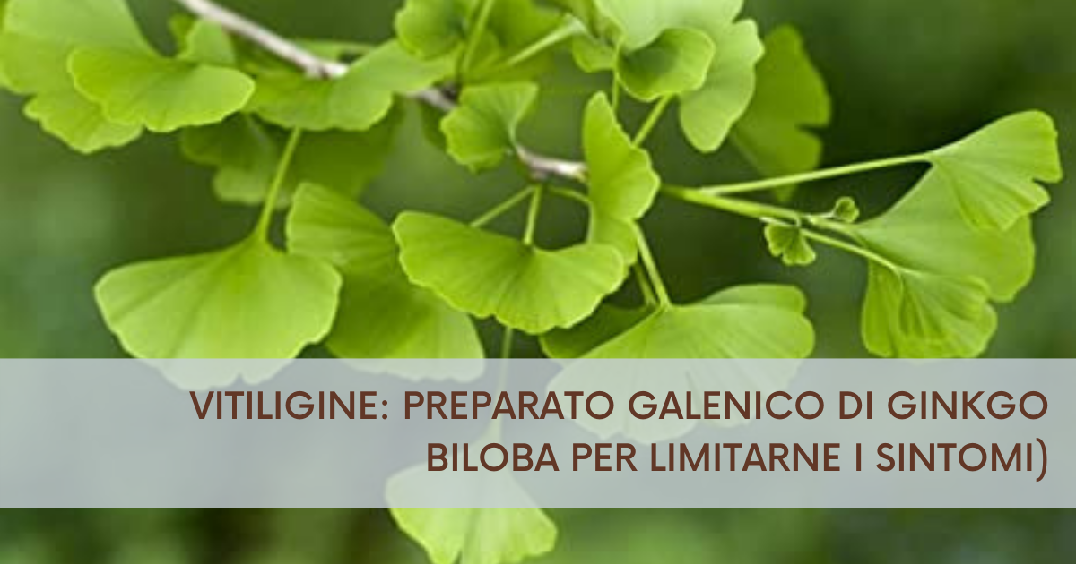 Ginkgo Biloba