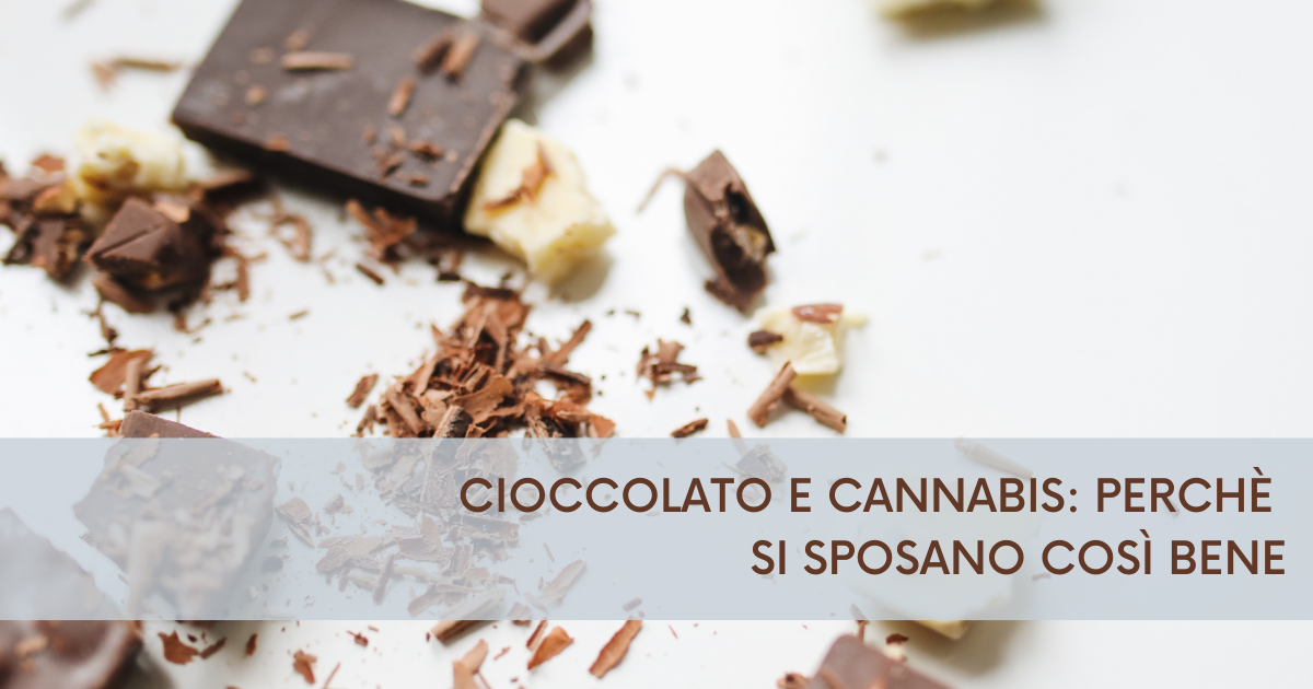 cioccolato