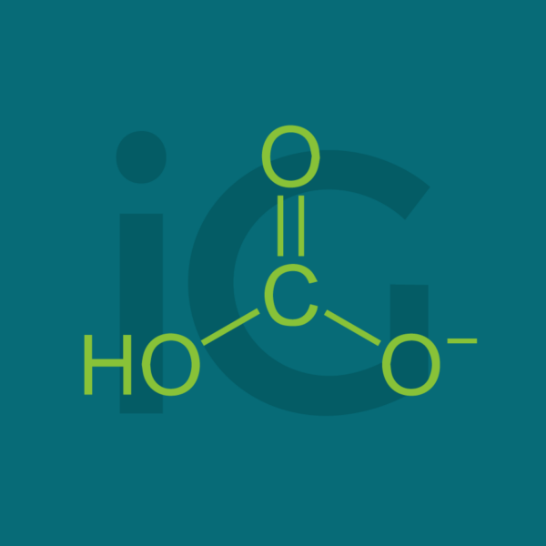 Potassio bicarbonato 300 mg 30 cps