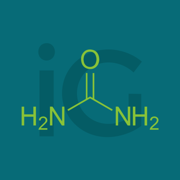 Urea 10% unguento salicilico 100 g