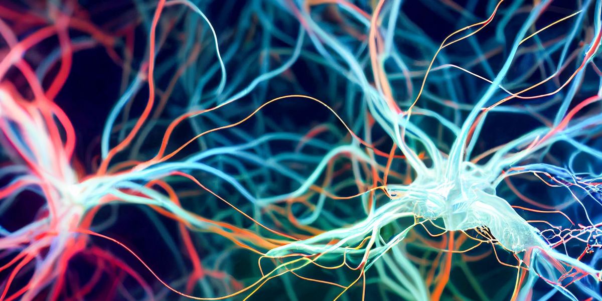 Percorsi sinaptici neurali neurotrasmettitore che attiva ia generativa