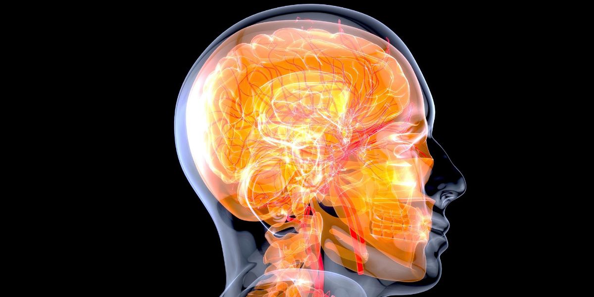 foto testa cranio cervello raggi x