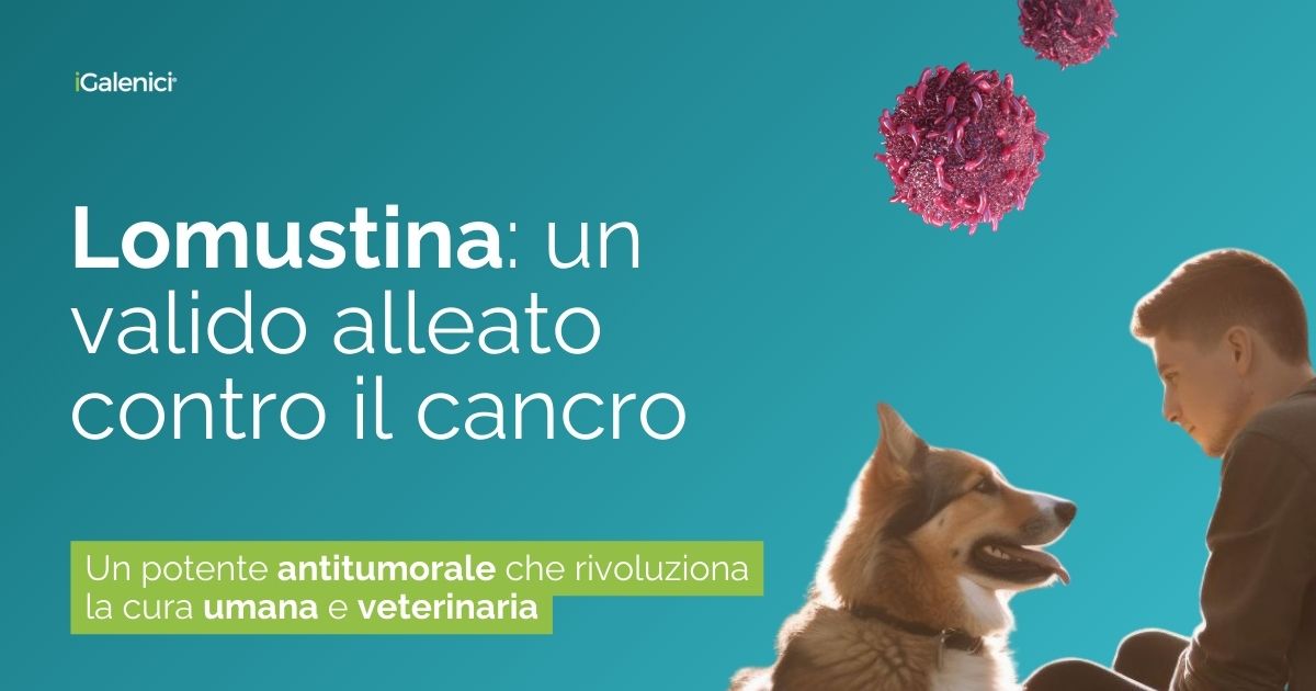 Lomustina, il potente antitumorale che rivoluziona la cura umana e ...