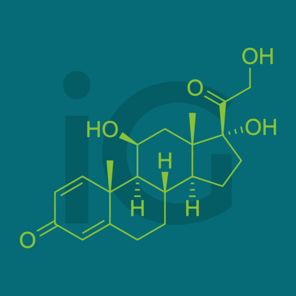 Prednisolone 2 mg 10 cps veterinarie