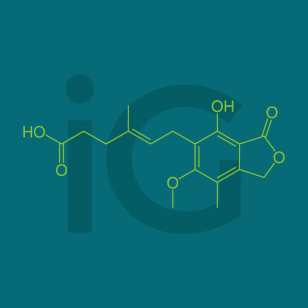 Micofenolato 100 mg 60 cps veterinarie